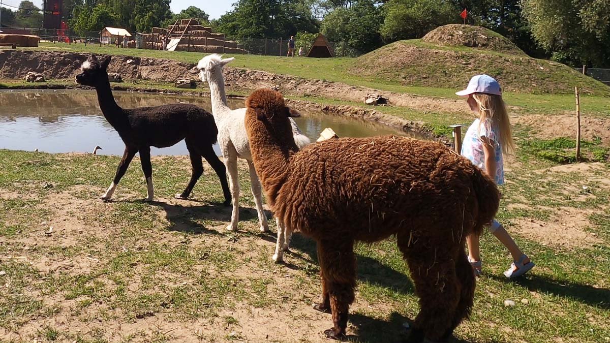 Zábavní park pro děti Kontaktní zoo